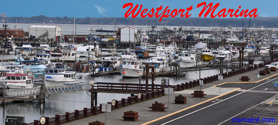 Westport Marina